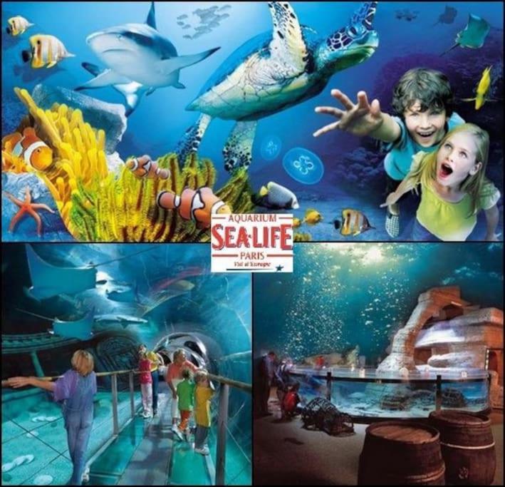 Disneyland Dream 5 - Charmante Maison 10 Pax Holiday home *